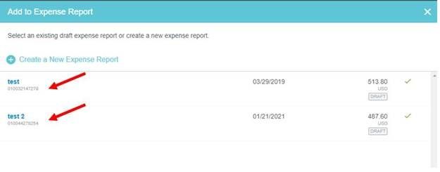 Example of Expense Report with Individual Expenses Highlighted